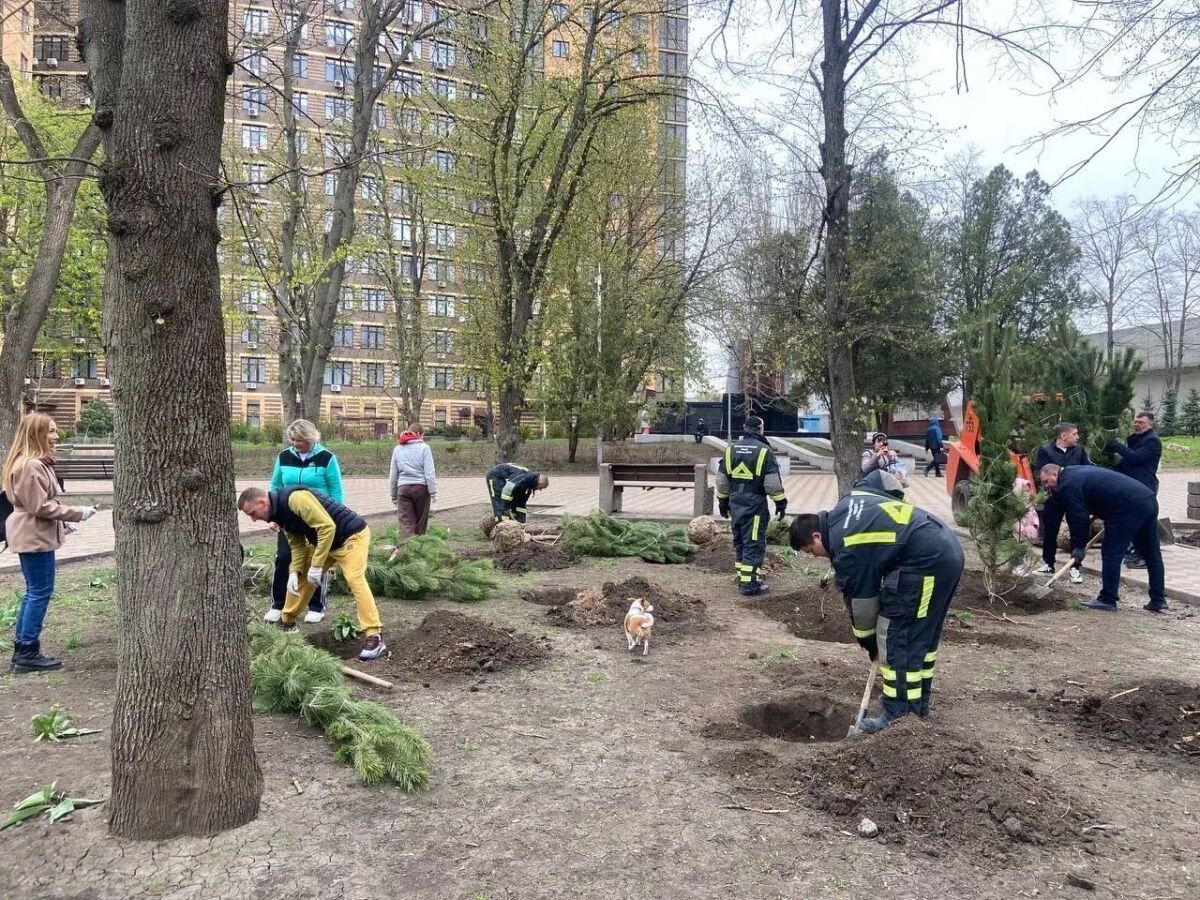 В Ростовской области 18 апреля высадят 25 тысяч деревьев - фото 1