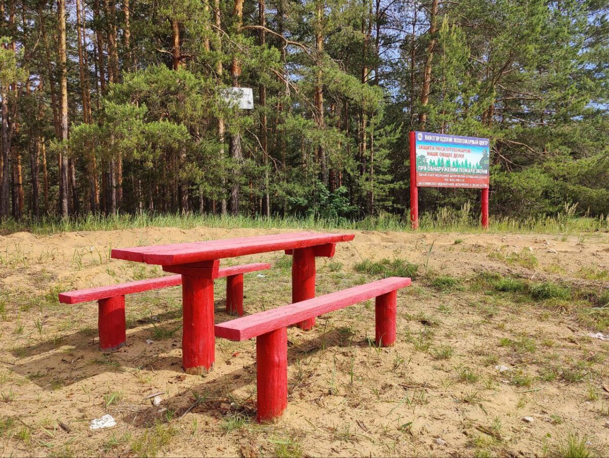 Свыше 3 тысяч зон отдыха обустроили в лесах Нижегородской области - фото 1
