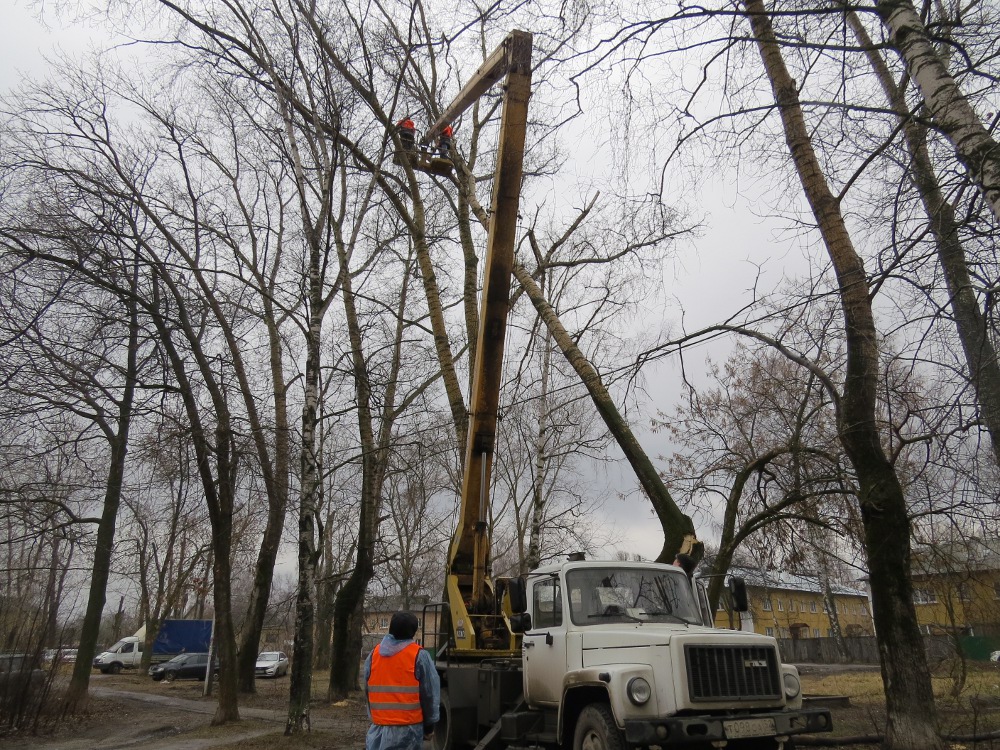 Автозаводский район озеленят и освободят от аварийных деревьев