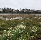 Ход строительства дома 2.2 в ЖК Лисино -