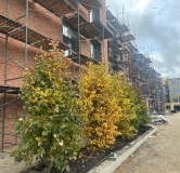 Ход строительства дома литер А в ЖК Резиденция Мон на Чернышевского -