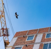 Ход строительства дома 2 в ЖК Базилик -