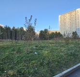 Ход строительства дома 2 в ЖК Муринские пруды -