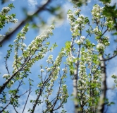 Ход строительства дома ГП-1 в ЖК Мозаика Парк	 -