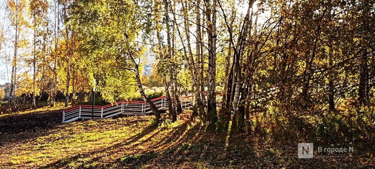 Лопатинский овраг полностью благоустроили в Нижнем Новгороде - фото 1